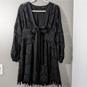 Revolve Alexis Long Sleeve Mini dress